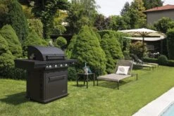 Boretti Maggiore Antraciet Gas Buitenkeuken 8 Boretti Maggiore Antraciet Gas Buitenkeuken -Bastar Barbecues Winkel boretti maggiore antraciet gas buitenkeuken 1000x667 62065ab7b1c54 l